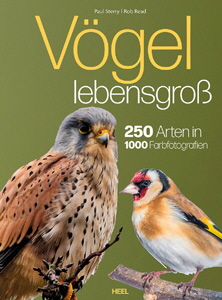 Paul Sterry/Rob Read, Vögel lebensgroß